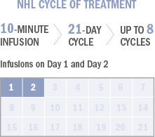 NHL cycle