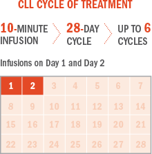 CLL cycle