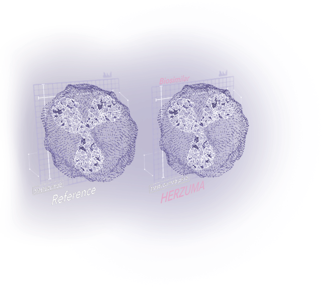 Two 3-D monoclonal antibodies showing biosimilarity between reference product and HERZUMA