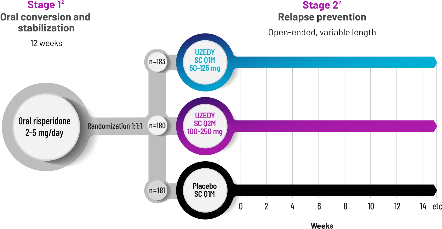 Comparison chart for UZEDY SC q1m at 50-125 mg, UZEDY SC q2m 100-250 mg, and placebo SC q1m showing oral conversion and stabilization at 12 weeks in Stage 1 and open-ended relapse prevention at variable length in Stage 2